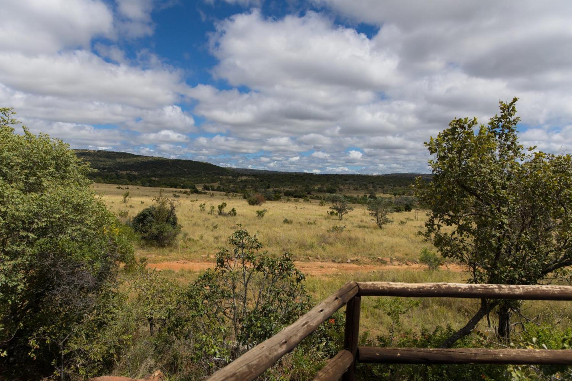 Kololo Game Reserve Vaalwater Exterior photo