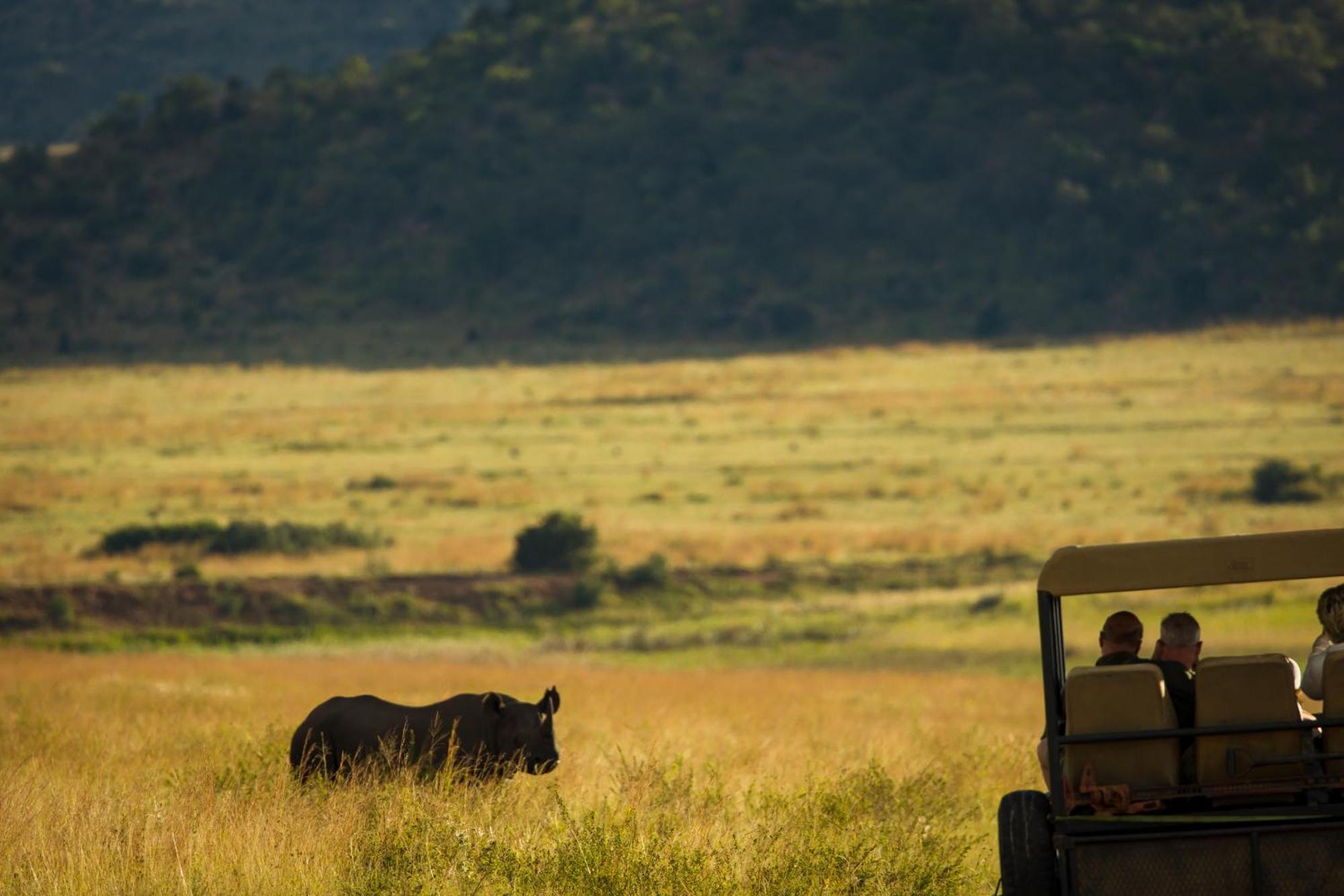 Kololo Game Reserve Vaalwater Exterior photo